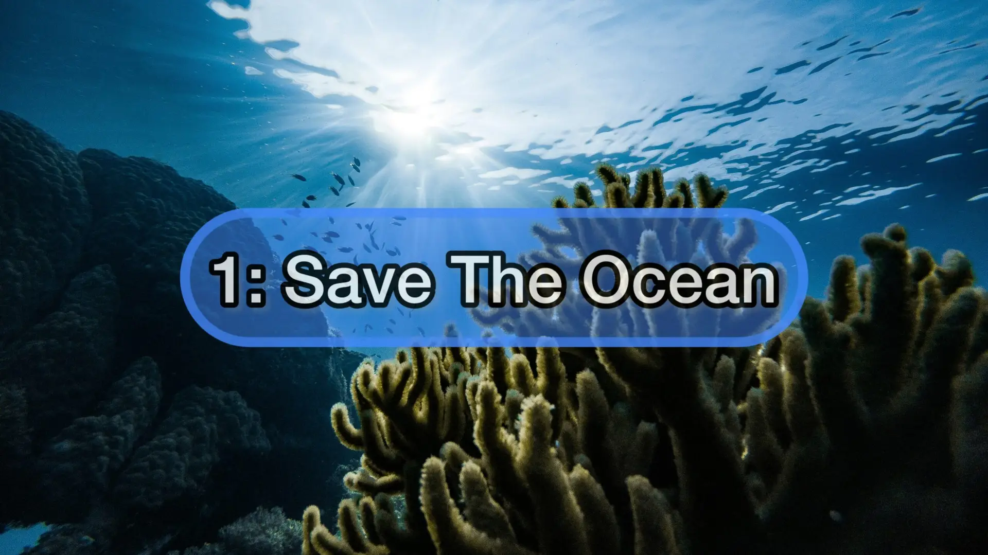 1: Save the Ocean